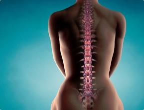 Причины остеопороза у женщин 