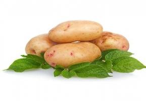Картофель – средство профилактики рака желудка