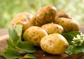 Как похудеть с помощью строгой картофельной диеты?