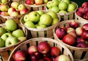 Можно ли защитить себя от глухоты с помощью… поедания пары яблок в день?